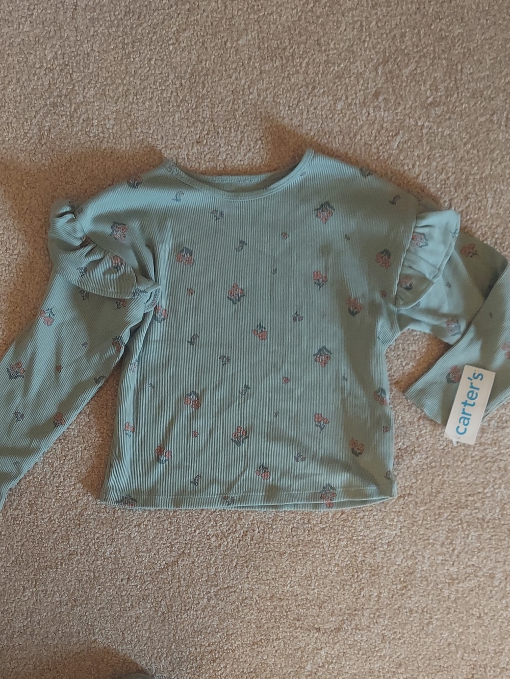 Carter's Girl's  Sage Green Floral Ruffle Long Sleeve Tee 3T